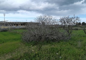 Masseria San Cataldo Lecce