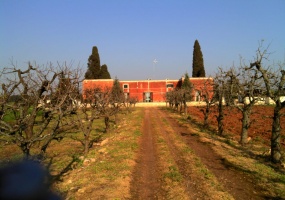 Villa in vendita nella campagna diCopertino