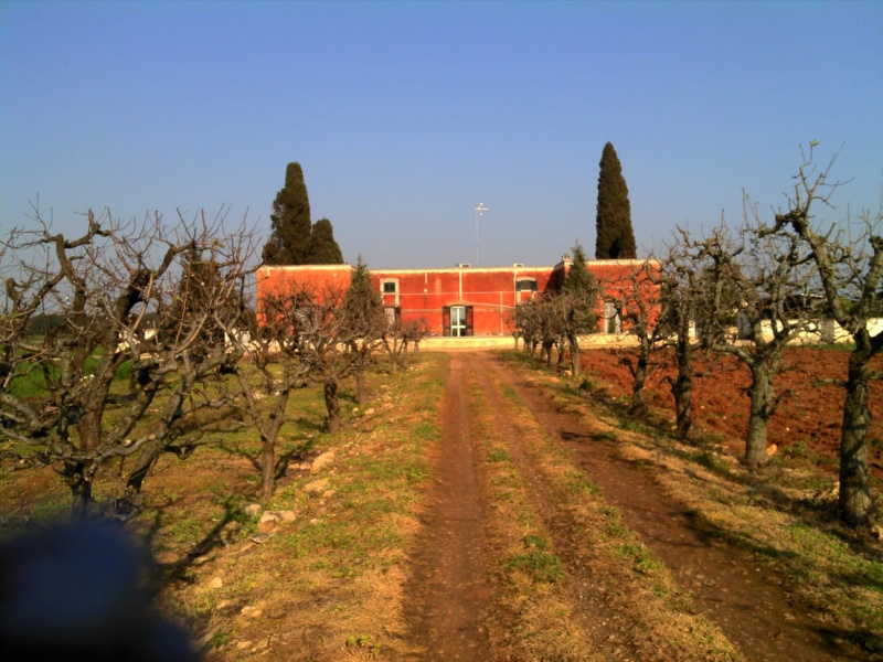 Villa in vendita nella campagna diCopertino