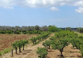 Villa in vendita nella campagna dI Copertino