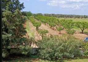 Villa in vendita nella campagna diCopertino