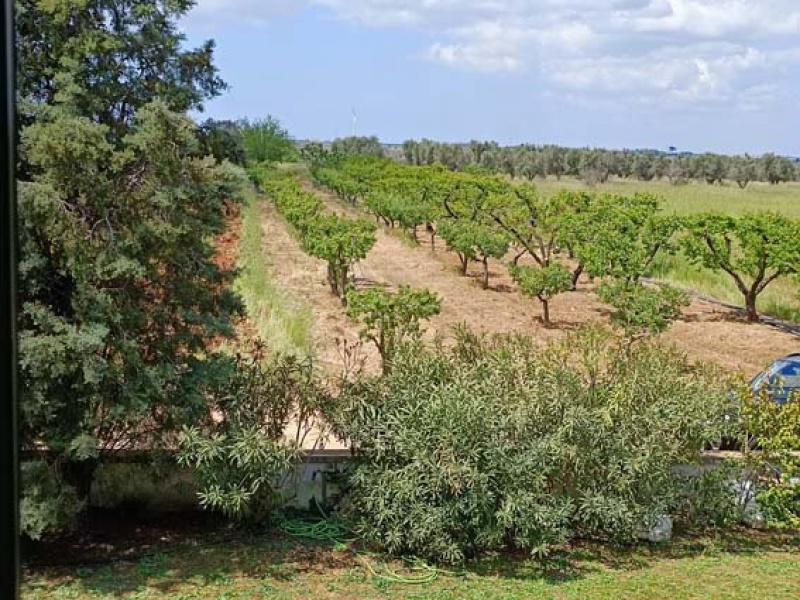 Villa in vendita nella campagna diCopertino