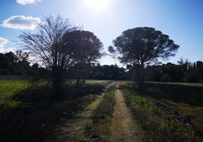 via per Monteroni, Lecce, 3 Stanze da Letto Stanze da Letto, ,2 BathroomsBathrooms,Immobili Esclusivi,In Vendita,via per Monteroni,1002