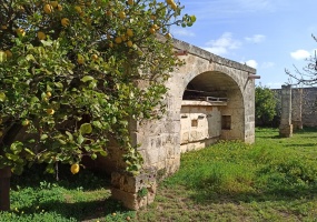 Vendesi casa rurale a Veglie con sei ettari di terreno agricolo