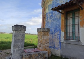 Vendesi casa rurale a Veglie con sei ettari di terreno agricolo