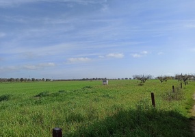 Vendesi casa rurale a Veglie con sei ettari di terreno agricolo