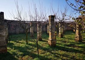 Vendesi casa rurale a Veglie con sei ettari di terreno agricolo