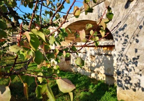 Vendesi casa rurale a Veglie con sei ettari di terreno agricolo