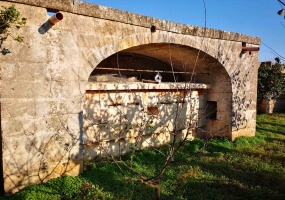 Vendesi casa rurale a Veglie con sei ettari di terreno agricolo