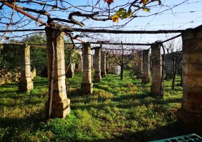 Vendesi casa rurale a Veglie con sei ettari di terreno agricolo