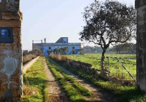 Vendesi casa rurale a Veglie con sei ettari di terreno agricolo