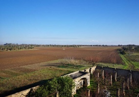 Vendesi casa rurale a Veglie con sei ettari di terreno agricolo